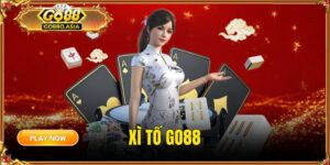 Xì tố